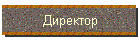 Директор
